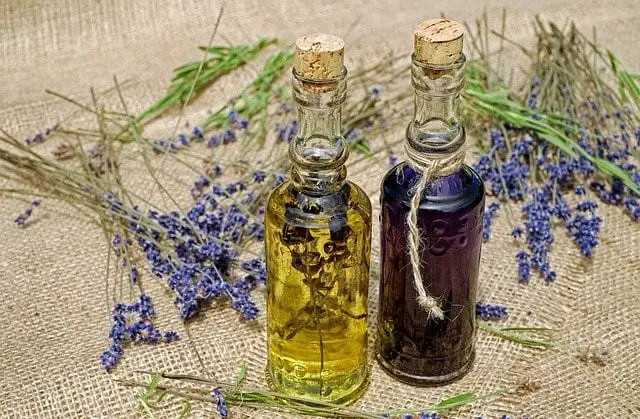 bottles with infused oils-vinegars