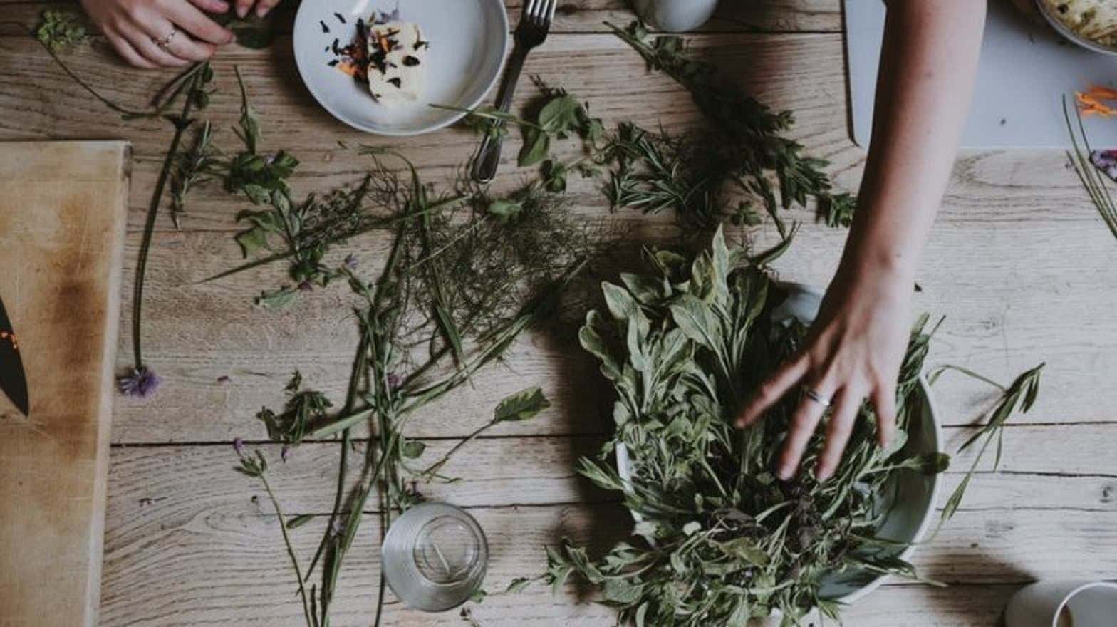 preparing and organizing dried herbs over a wooden counter