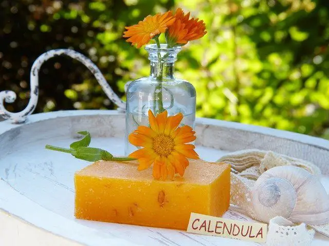 calendula soap with flowers