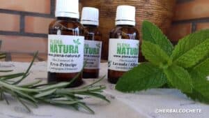 small bottles of essential oils decorated with peppermint and rosemary plants