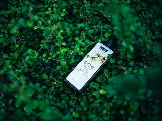 herbal shampoo bottle