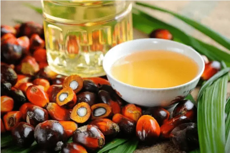 palm oil1