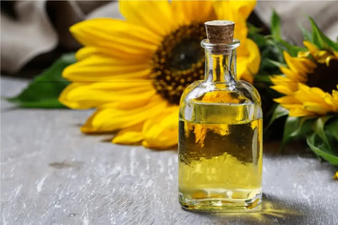 sunflower oil2