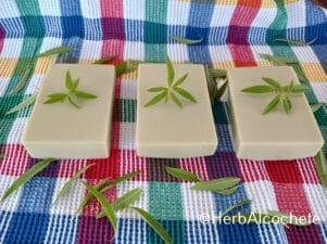 french green clay soap recipe