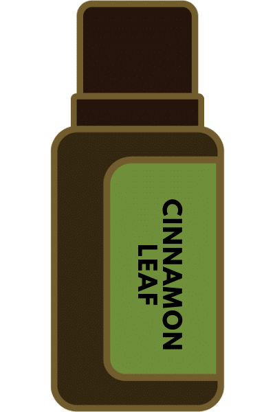 Essential oil cinnamon leaf