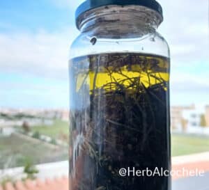 herbal infused olive oil