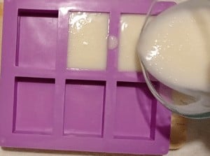 mold-lard-soap